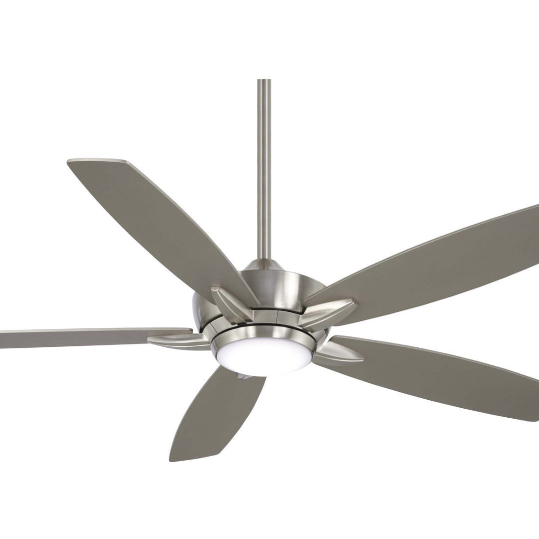 Ceiling Fan