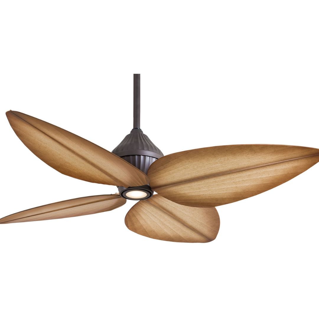 Outdoor Fan